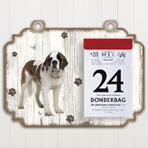 Scheurkalender 2023 Hond: Sint Bernard