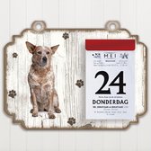 Scheurkalender 2023 Hond: Australian Cattle Dog