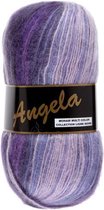 Lammy Yarns Angela mix garen multi color paars lila (407) - pendikte 3 a 5mm - 1 bol van 100 gram en 500 meter