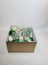A&D Collections Kerstboom Decoratie box Greenstyle