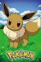 foto van Pokemon Eevee Poster 61x91.5cm