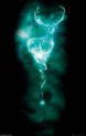 Harry Potter - Patronus - Poster '61x91.5cm'