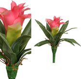 PTMD Kunstplant Succulent roze bromelia bush 14 X 13 X 18