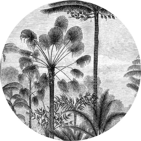 Staerkk  - Palmbomen zwart/wit - Ø100 cm - Muurcirkel van dibond incl. bevestiging