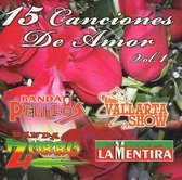 15 Canciones de Amor, Vol. 1