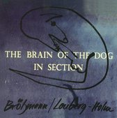 Peter Brötzmann & Fred Lonberg-Holm - The Brain Of The Dog In Section (CD)