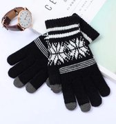 WP handschoenen heren winter - handschoenen dames winter - Tijdelijk Tweede Paar Gratis - Touchscreen - Zwart