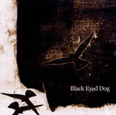 Black Eyed Dog