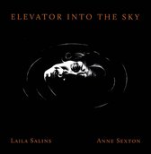 Elevator Into the Sky