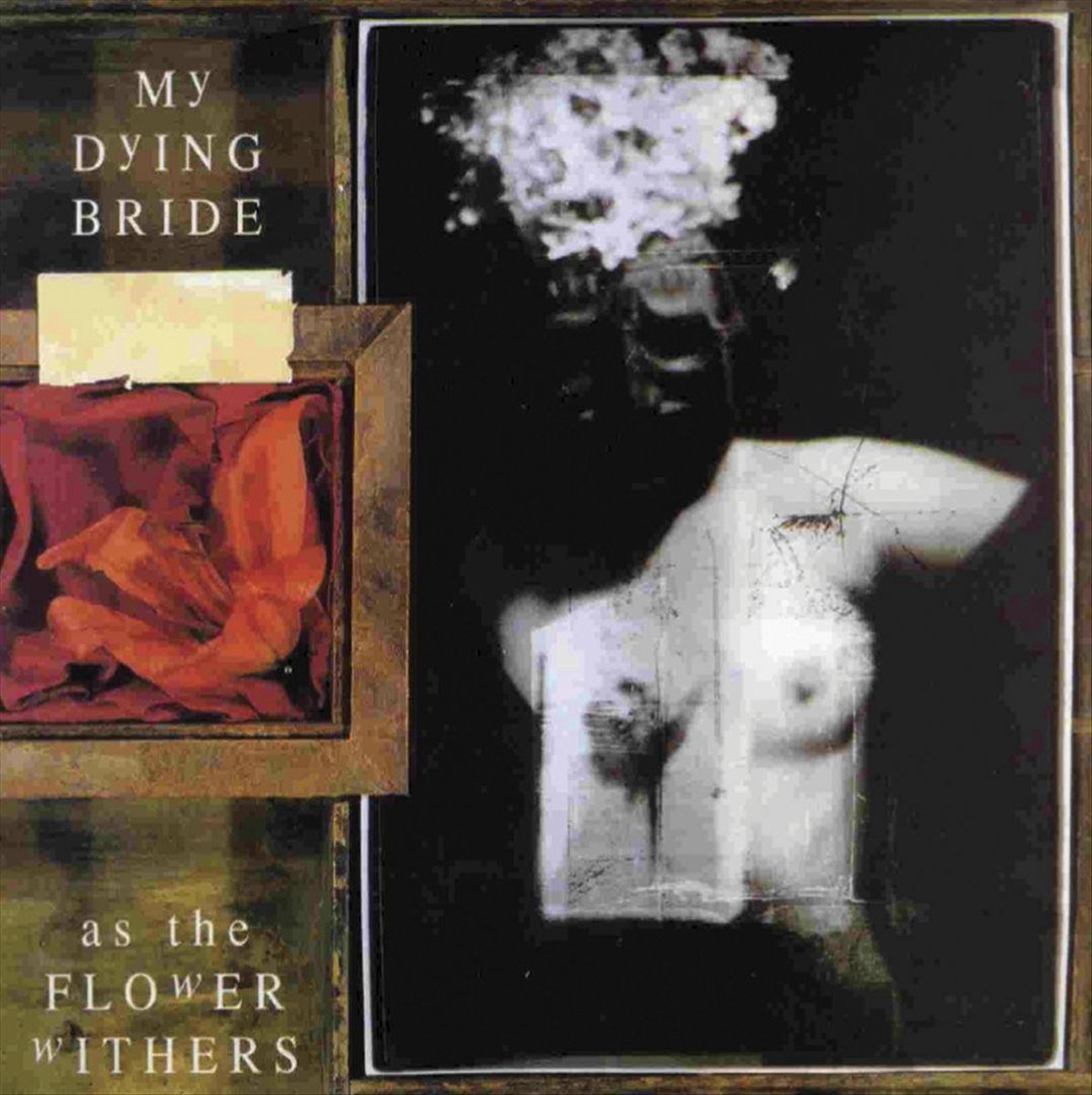 As The Flower Withers