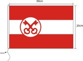 Leidse vlag Leiden 20 x 30 cm