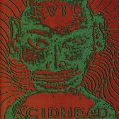 Evil Acidhead - In The Name Of All That Is (CD)