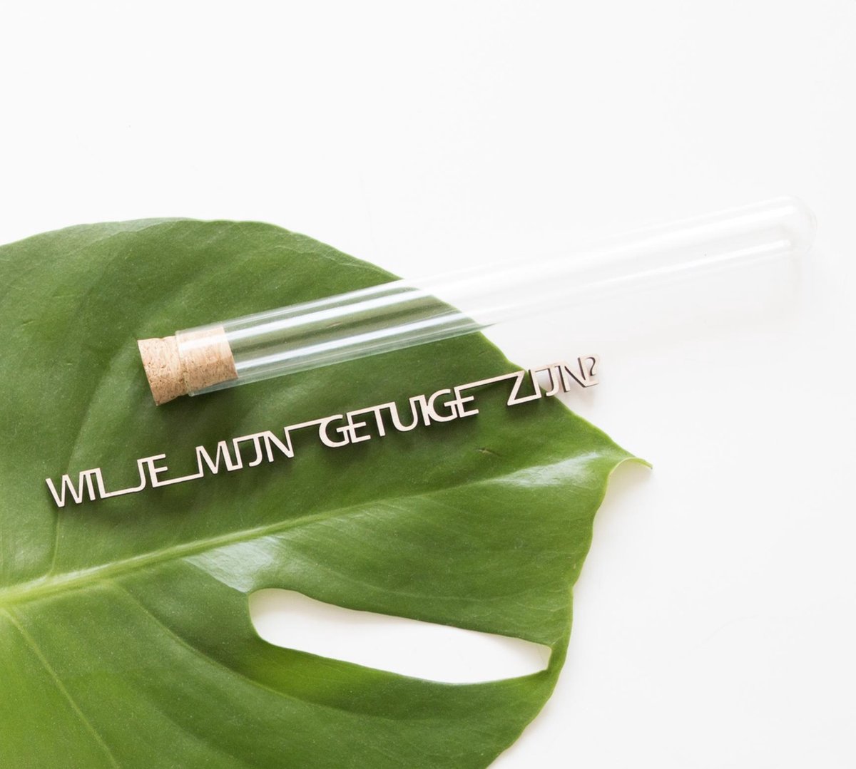 Message in a bottle - Wil je mijn getuige zijn? - Trouwen - Getuigen vragen - Bruiloft - Originele vraag - Minimalistisch