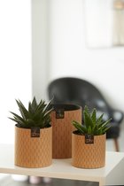 OOhh duurzame paper pot - Paris Cylinder naturel L
