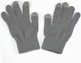 Touchscreen handschoenen Grijs