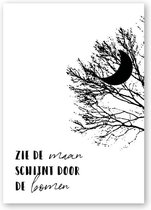 Sinterklaas poster A4 | Zwart-wit | Sinterklaasfeest | Zie de maan schijnt door de bomen | MOODZ design