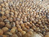 Nederlandse ongeloogde verse walnoten 2021 rechtstreeks van boom  per kg