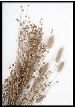 Poster Dried Lagarus Ovatus - 50x70cm - Poster Droogbloemen - WALLLL