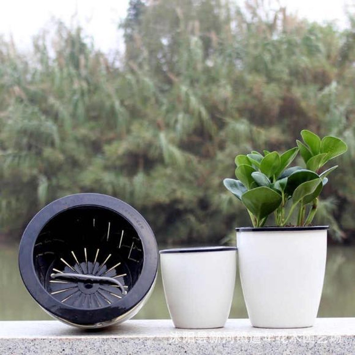 Automatische bewatering van uw plant in bloempot - plantenbak - zelf  watergevende bloempot | bol