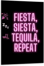 Dibond - Tekst: ''Fiesta, Siesta, Tequila, Repeat'' zwart/roze met figuren - 80x120cm Foto op Aluminium (Wanddecoratie van metaal)