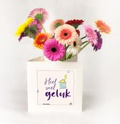 Bloomincard Germini - Veel geluk nieuwe woning - bloemen en boeketten - Verse Gerbera's met unieke vaas - Veel geluk wensen met Germini's en speciale kaart die je om kunt toveren tot vaas - i