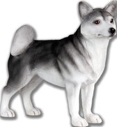 Husky Hond (Dog) hondenbeeldje , figuur