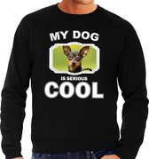 Dwergpinscher honden trui / sweater my dog is serious cool zwart - heren - Dwergpinschers liefhebber cadeau sweaters XL