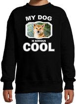 Shiba inu honden trui / sweater my dog is serious cool zwart - kinderen - Shiba inu liefhebber cadeau sweaters 7-8 jaar (122/128)