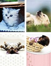 24 meduim cadeauzakjes 1247 medium cadeauzakjes voor verjaardagscadeautas