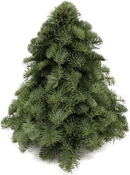 Echte Kerstboom | Echt nobilis groen | 30 cm | bol