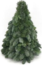 Echte Kerstboom Nobilis - 40 cm - Handgemaakt - Vers - Kerst Decoratie - Kerstversiering