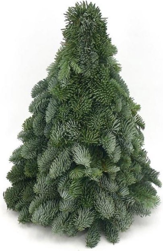 Echte Kerstboom Nobilis 40 cm Handgemaakt Vers Kerst Decoratie
