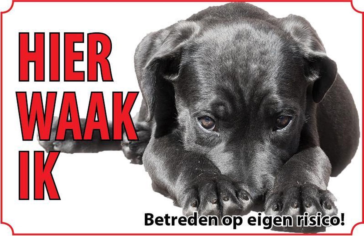 Bord Cane corso