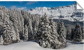 Kerstdorp achtergrond - 70x120 cm - bomenrij - PVC - links - kerst poster - winterlandschap - kerst decoratie - kerstversiering - winterlandschap - kerstinterieur - modeltreinen