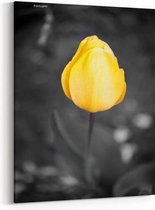 Schilderij - Gele tulp in de natuur — 60x90 cm