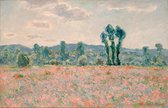 Claude Monet, Papaverveld, 1890 op canvas, afmetingen van dit schilderij zijn 60x90 cm