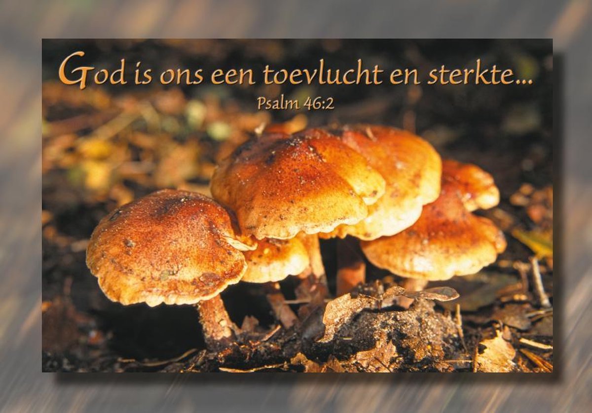 Wenskaart 10x15 cm - Psalm 46:2 - met Bijbeltekst - set van 10 inclusief enveloppe
