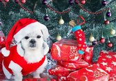 Diamond Painting Pakket - Serie Kerstmis - Hond en Cadeautjes - 40x30 cm - Complete Set - Volledige Bedekking - Ronde Steentjes
