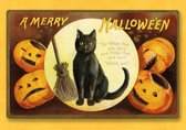 Halloween kaarten - Set van 10 dezelfde kaarten - Leuke Post - H16