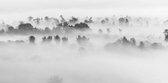Fog in nature 120 x 80  - Dibond