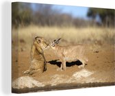 Canvas Schilderij Leeuw - Dieren - Afrika - 90x60 cm - Wanddecoratie