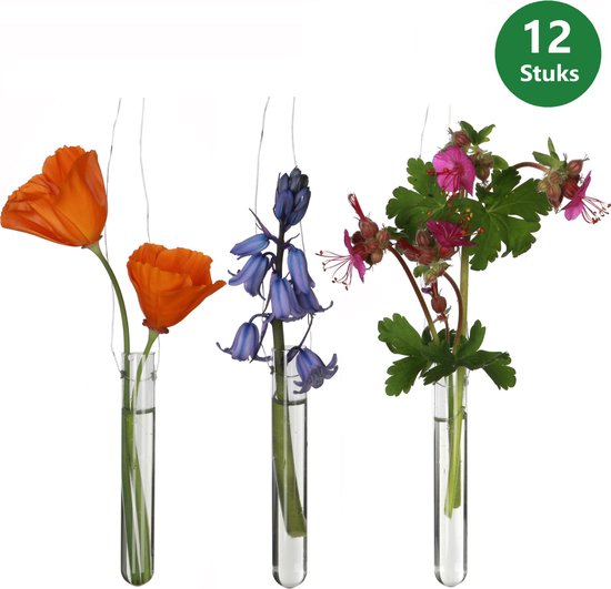 Comforder Reageerbuisjes glas - Met ophang gaatjes - 12 stuks - 1,5 h.10 cm