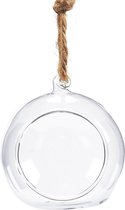 All Glass Terrarium - Globe Hanging Bowl
