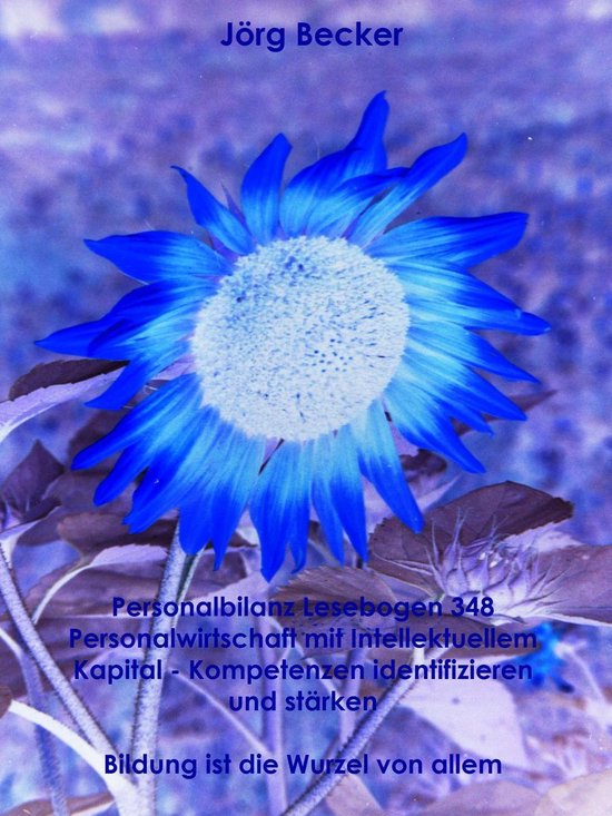 Personalbilanz Lesebogen 348 - Personalbilanz Lesebogen 348 Personalwirtschaft mit Intellektuellem Kapital - Kompetenzen identifizieren und stärken