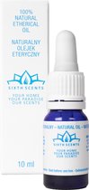 Sixth Scents ® Etherische Olie - Citroen - 100% Natuurlijk