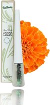 Paul Penders Luscious Lashes Wimperserum