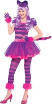 Children s Costume Cheshire Cat 10 - 12 Years