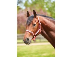 Weatherbeeta Paarden Halster - Gestreept Roze-oranje-geel - Maat Full
