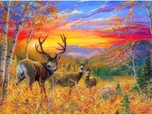 Diamond Painting Herfst - 40 x 50 cm - Incl. Diamant Steentjes en Diverse Tools