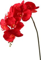 Viv! Home Luxuries Orchidee Butterfly - zijden bloem - rood - 86cm - topkwaliteit